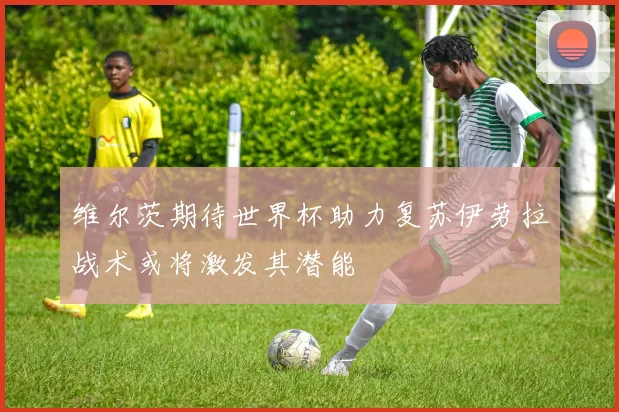 维尔茨期待世界杯助力复苏伊劳拉战术或将激发其潜能