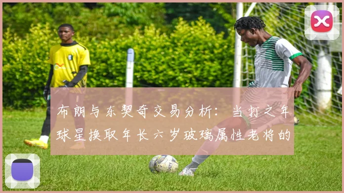 布朗与东契奇交易分析：当打之年球星换取年长六岁玻璃属性老将的利弊探讨
