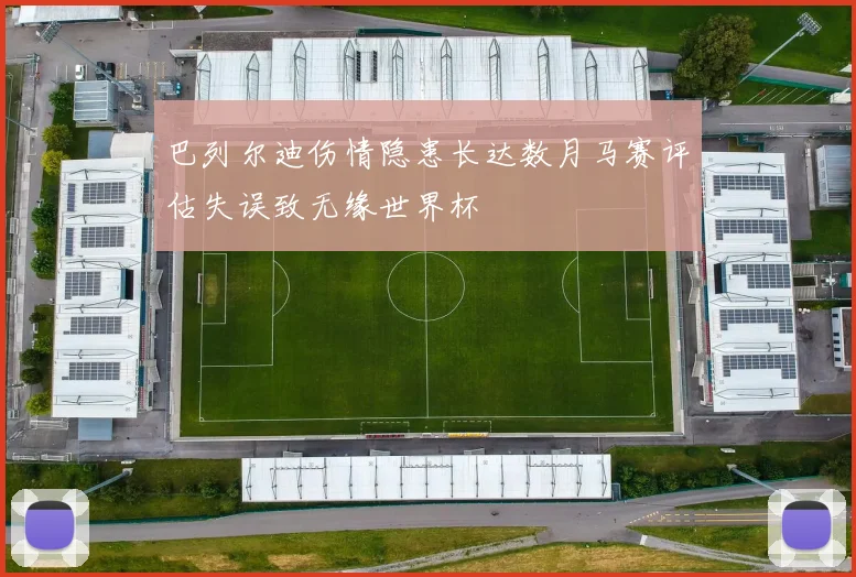 巴列尔迪伤情隐患长达数月马赛评估失误致无缘世界杯